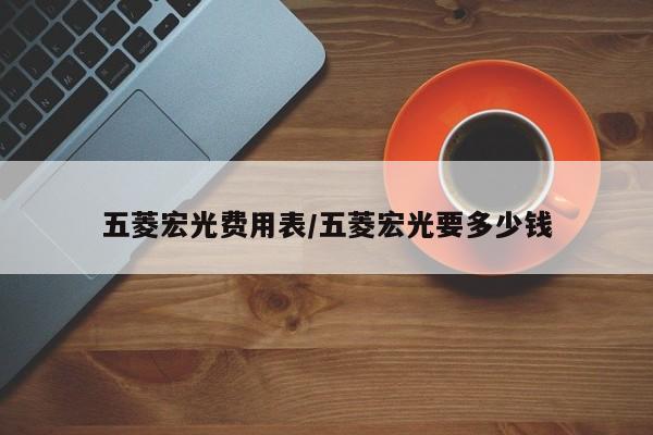 五菱宏光费用表/五菱宏光要多少钱